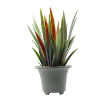 Изображение HOME DESIGN цветок в горшке ZL-2009