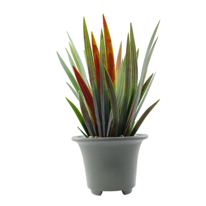 Изображение HOME DESIGN цветок в горшке ZL-2009