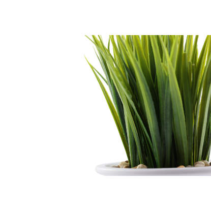 Изображение HOME DESIGN цветок в горшке ZL-2039