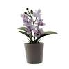 Изображение HOME DESIGN Цветок в горшке 5679