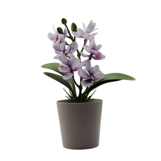 Изображение HOME DESIGN Цветок в горшке 5679