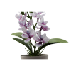 Изображение HOME DESIGN Цветок в горшке 5679