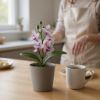 Изображение HOME DESIGN Цветок в горшке 5679