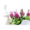 Изображение HOME DESIGN цветок в гошке 5809