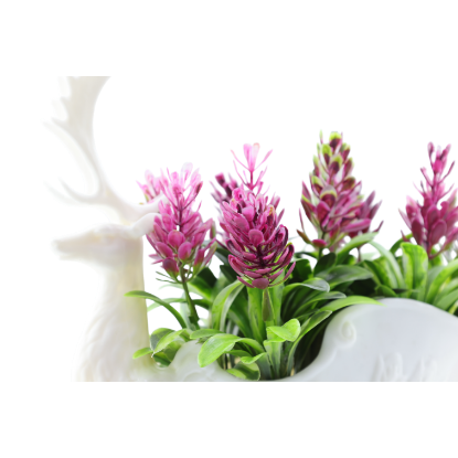 Изображение HOME DESIGN цветок в гошке 5809