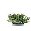 Изображение HOME DESIGN цветок в горшке PZ1125031