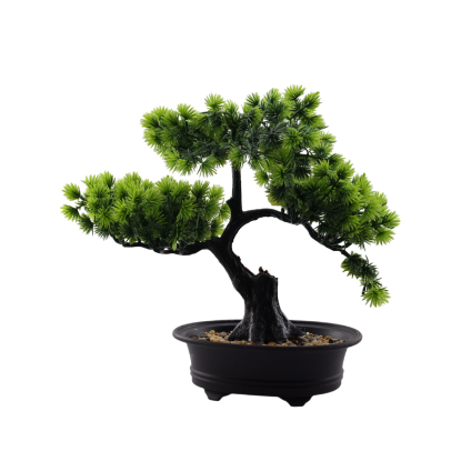 Изображение HOME DESIGN цветок в горшке А555
